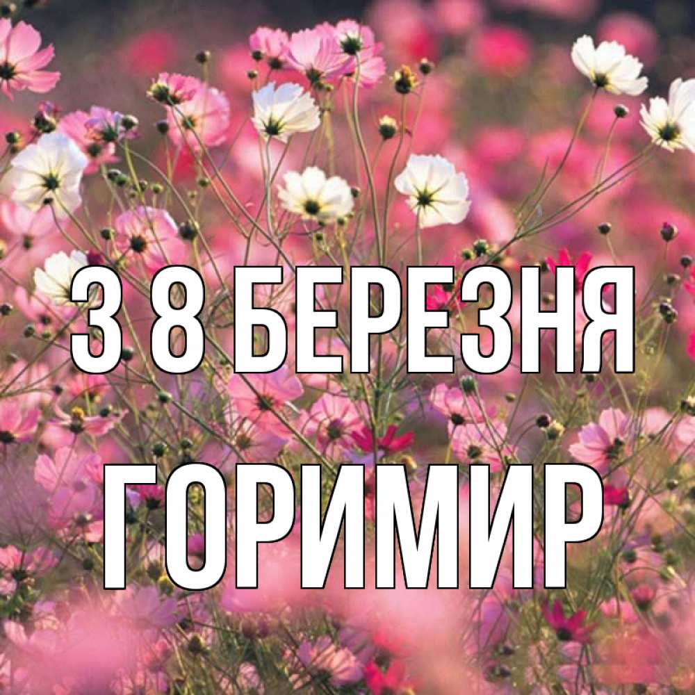 Открытка на каждый день з підписом, Горимир З 8 БЕРЕЗНЯ красиво 1 Прикольна листівка з побажанням онлайн скачати безкоштовно 
