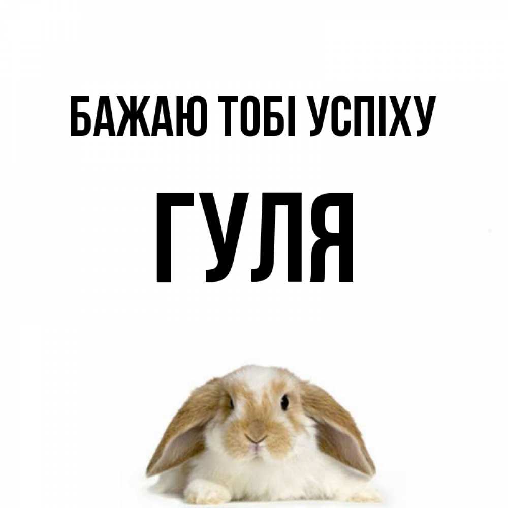 Открытка на каждый день з підписом, Гуля Бажаю тобі успіху открытки с произвольным текстом который можно вставить в открытку и создать ее самостоятельно бесплатно онлайн Прикольна листівка з побажанням онлайн скачати безкоштовно 
