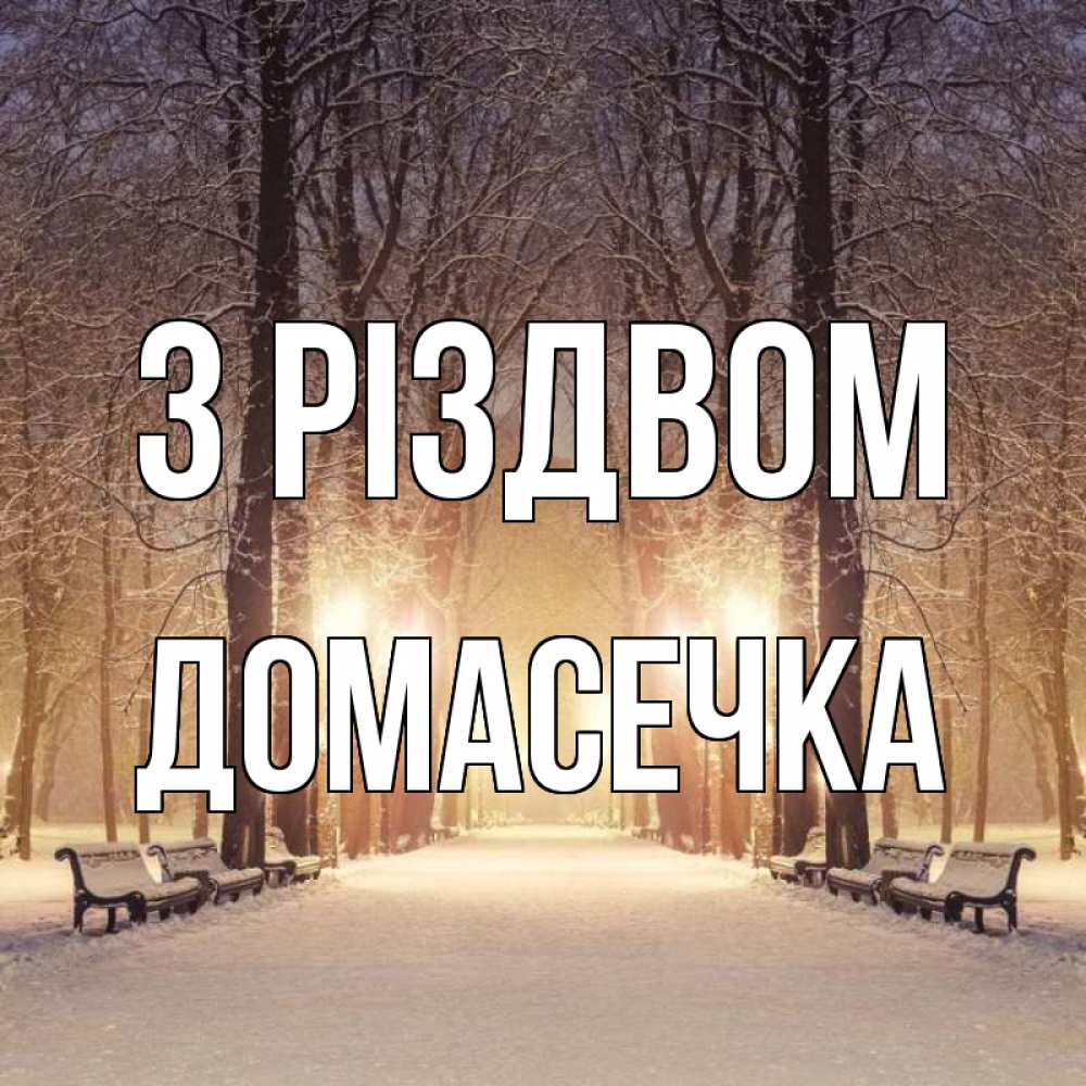Открытка на каждый день з підписом, Домасечка З Різдвом зима, парк, фонарь, лес Прикольна листівка з побажанням онлайн скачати безкоштовно 