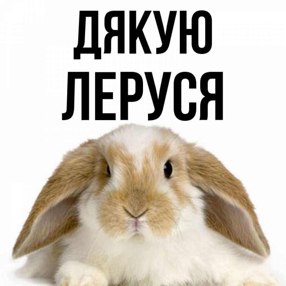 Открытка на каждый день з підписом, Леруся Дякую коричнево белый заяц Прикольна листівка з побажанням онлайн скачати безкоштовно 