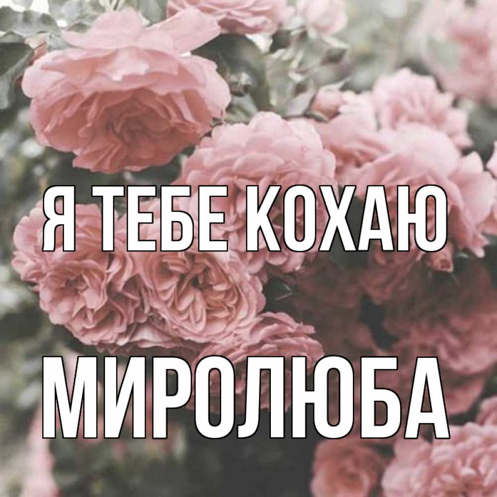 Открытка на каждый день з підписом, Миролюба Я тебе кохаю розы 3 Прикольна листівка з побажанням онлайн скачати безкоштовно 