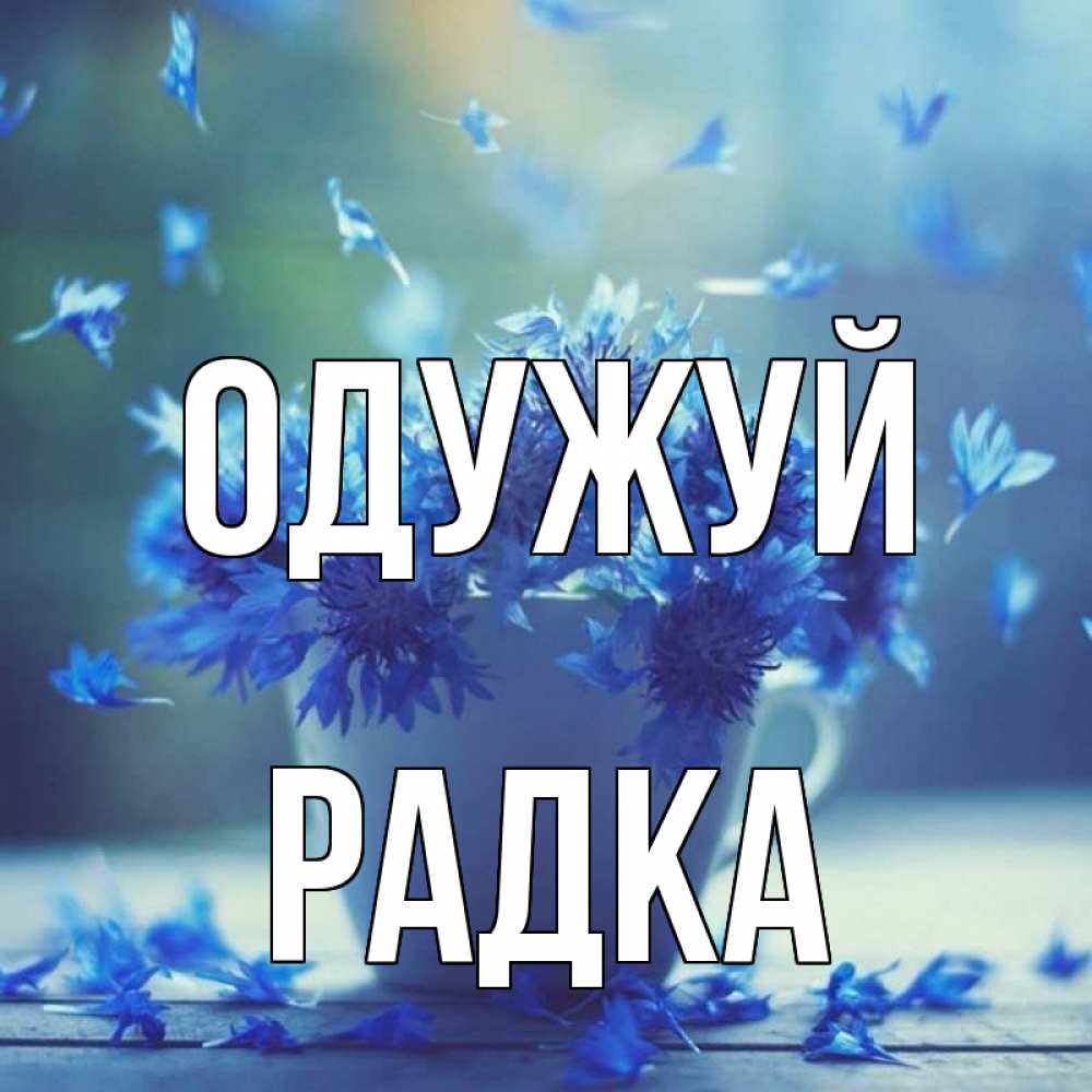 Открытка на каждый день з підписом, Радка Одужуй кружка с зельем и цветами Прикольна листівка з побажанням онлайн скачати безкоштовно 