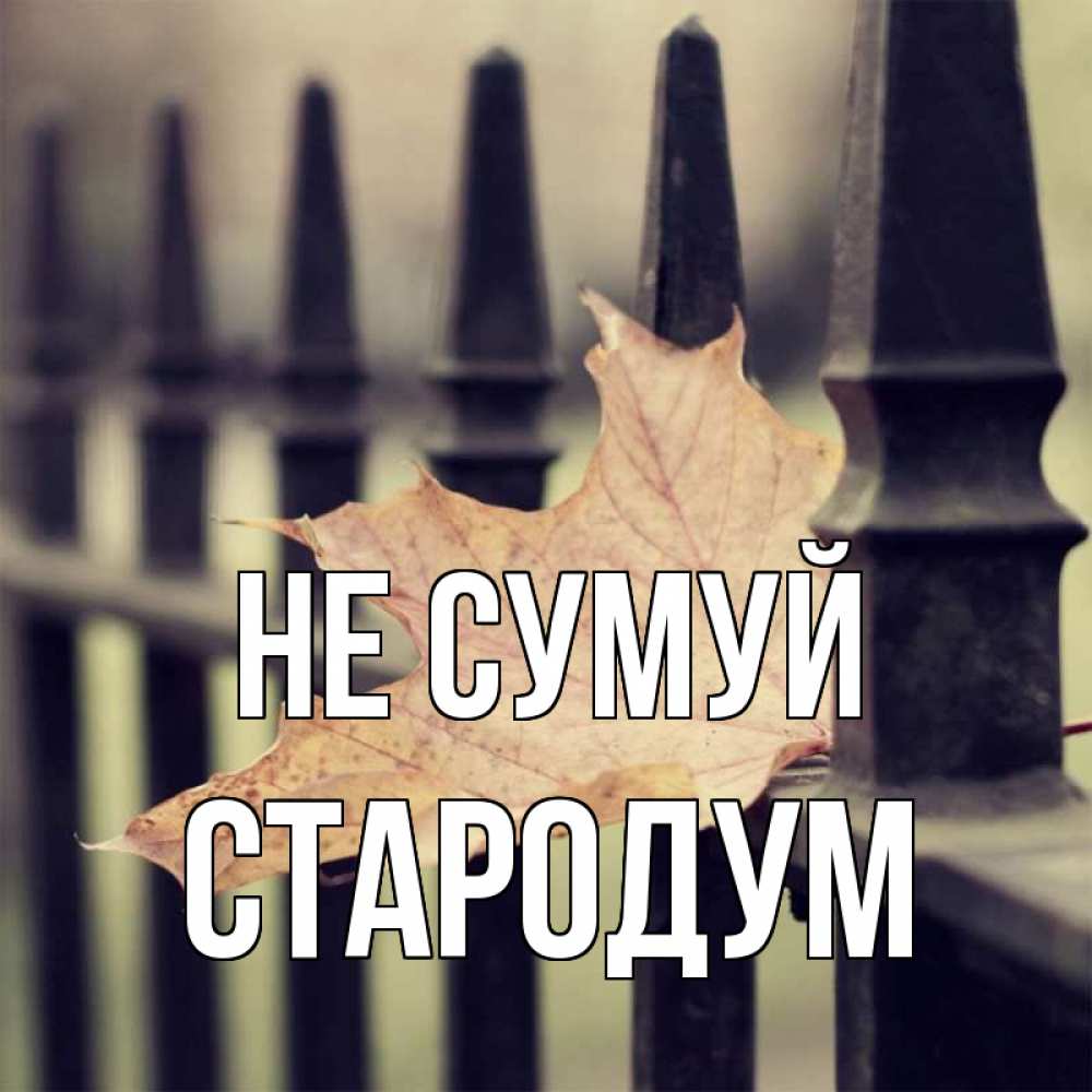 Открытка на каждый день з підписом, Стародум Не сумуй лист клена Прикольна листівка з побажанням онлайн скачати безкоштовно 