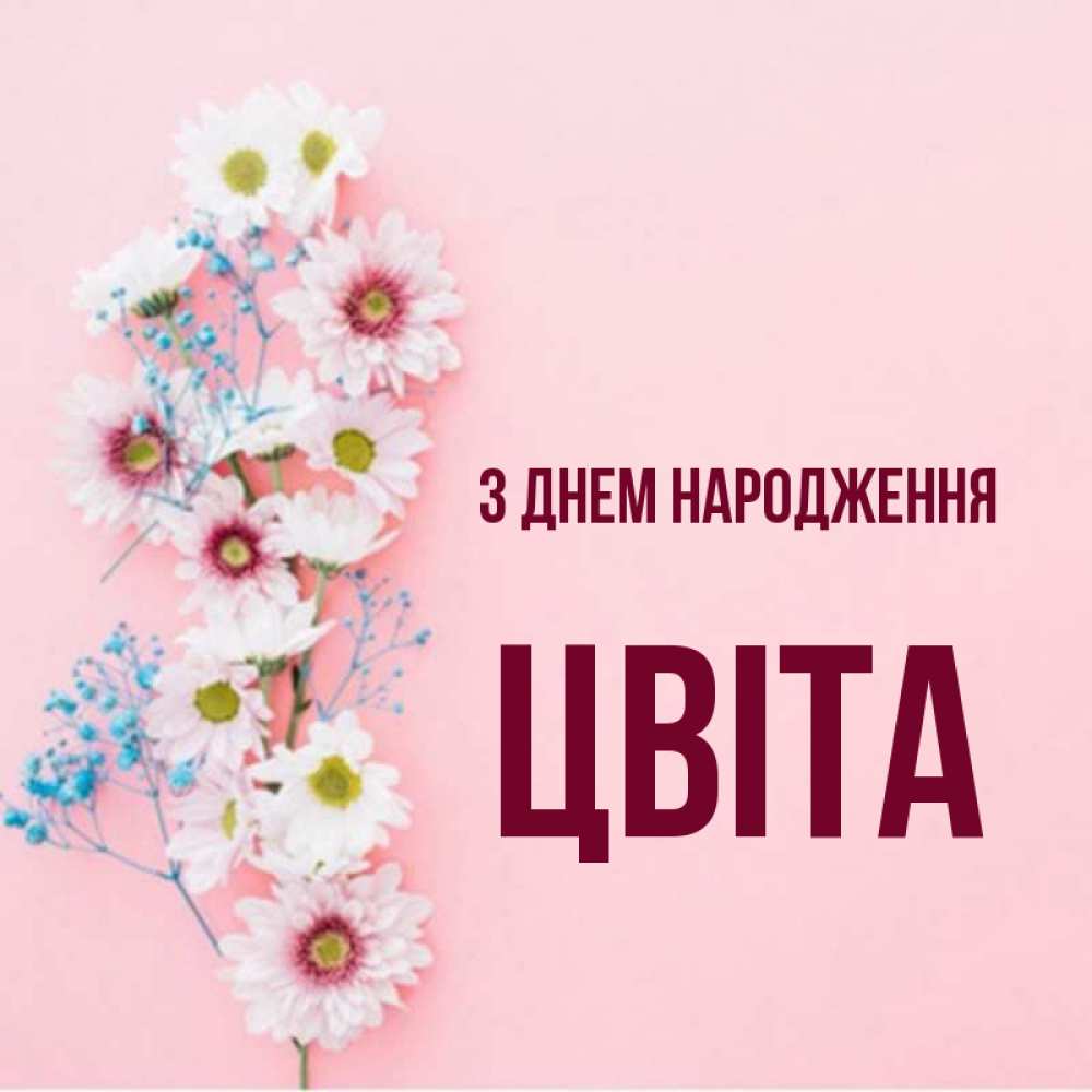 Открытка на каждый день з підписом, Цвіта З Днем народження Родная моя с днем рождения тебя картинка с цветами белыми и голубыми Прикольна листівка з побажанням онлайн скачати безкоштовно 