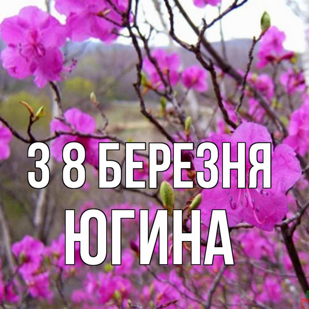Открытка на каждый день з підписом, Югина З 8 БЕРЕЗНЯ международный женский день Прикольна листівка з побажанням онлайн скачати безкоштовно 