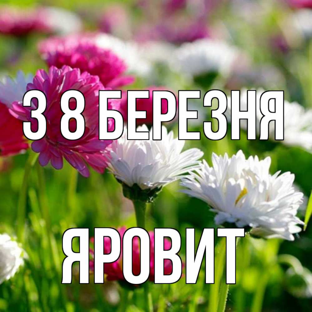 Открытка на каждый день з підписом, Яровит З 8 БЕРЕЗНЯ международный женский день 1 Прикольна листівка з побажанням онлайн скачати безкоштовно 
