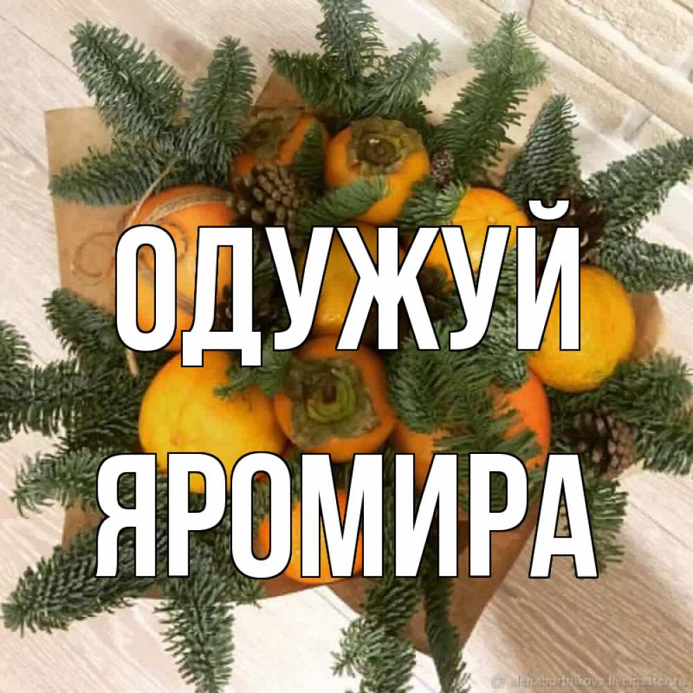 Открытка на каждый день з підписом, Яромира Одужуй апельсины и хурьма Прикольна листівка з побажанням онлайн скачати безкоштовно 