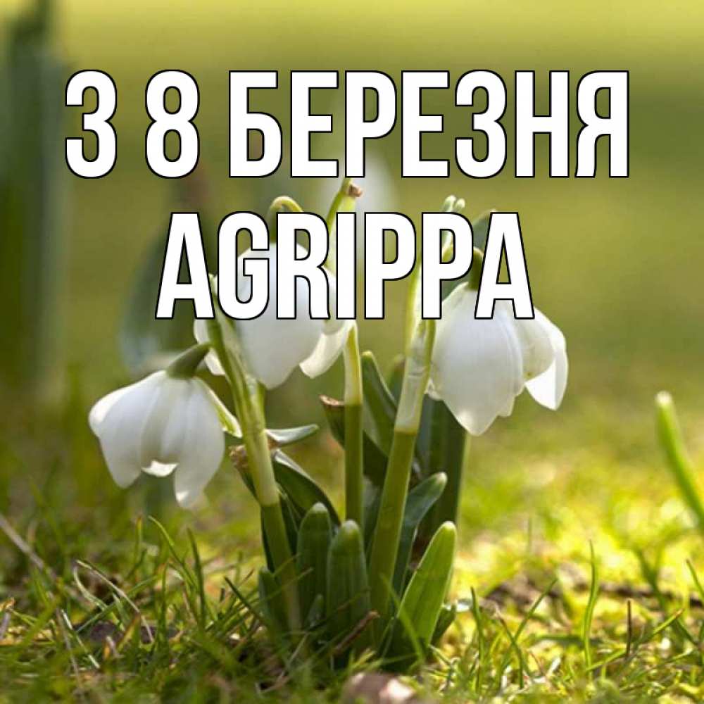 Открытка на каждый день з підписом, Agrippa З 8 БЕРЕЗНЯ ранние цветы 2 Прикольна листівка з побажанням онлайн скачати безкоштовно 