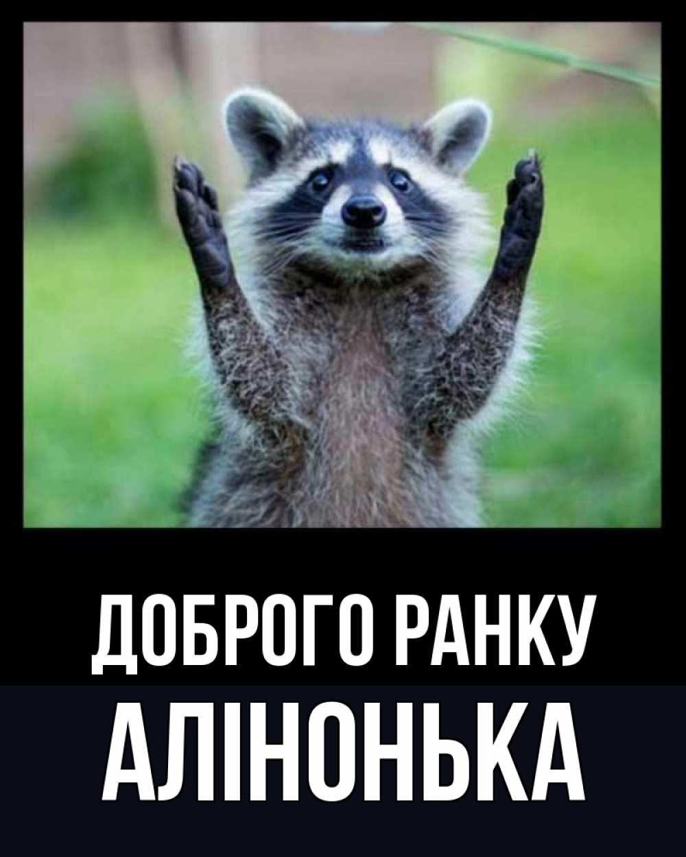 Открытка на каждый день з підписом, Алінонька Доброго ранку хорошее настроение утречком Прикольна листівка з побажанням онлайн скачати безкоштовно 