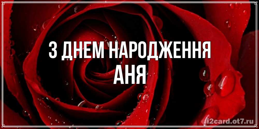 Открытка на каждый день з підписом, Аня З Днем народження крупная бордовая роза Прикольна листівка з побажанням онлайн скачати безкоштовно 