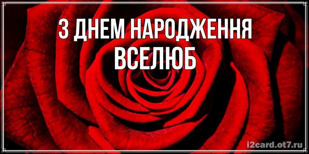 Открытка на каждый день з підписом, Вселюб З Днем народження алая роза Прикольна листівка з побажанням онлайн скачати безкоштовно 