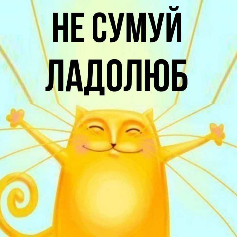 Открытка на каждый день з підписом, Ладолюб Не сумуй обнимашки усатые Прикольна листівка з побажанням онлайн скачати безкоштовно 