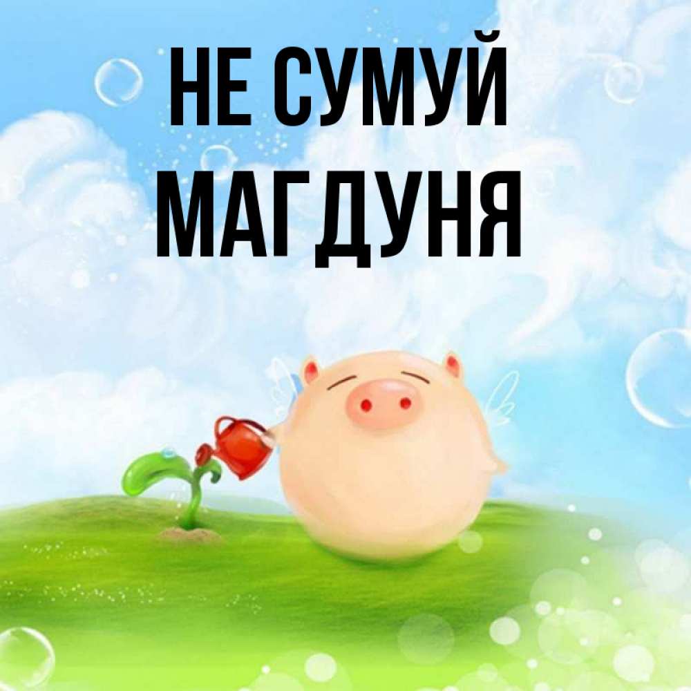 Открытка на каждый день з підписом, Магдуня Не сумуй поливает цветок порося Прикольна листівка з побажанням онлайн скачати безкоштовно 