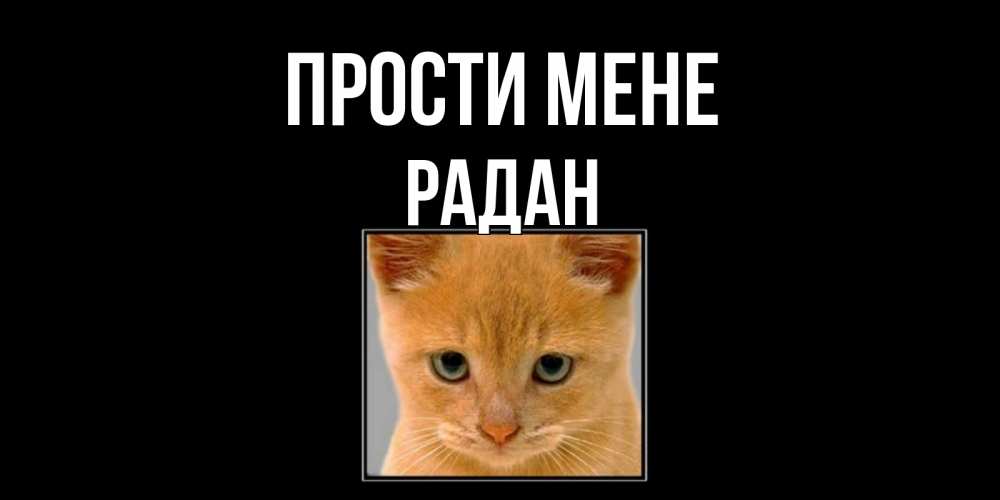 Открытка на каждый день з підписом, Радан Прости мене рыжий грустный кот просит прощения Прикольна листівка з побажанням онлайн скачати безкоштовно 