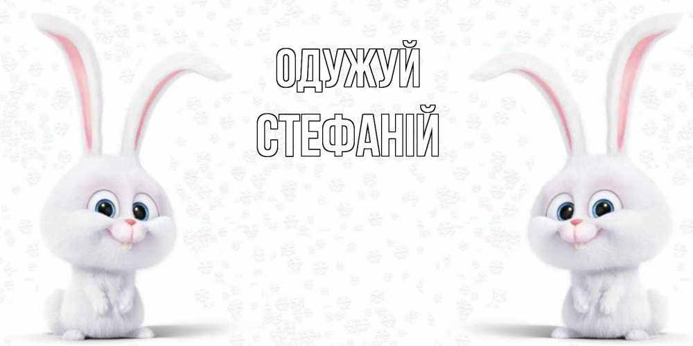 Открытка на каждый день з підписом, Стефаній Одужуй не болей с зайцем Прикольна листівка з побажанням онлайн скачати безкоштовно 