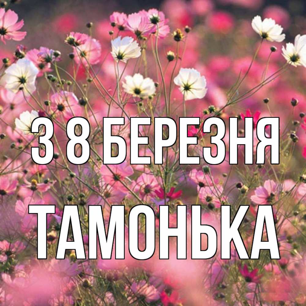 Открытка на каждый день з підписом, Тамонька З 8 БЕРЕЗНЯ красиво 1 Прикольна листівка з побажанням онлайн скачати безкоштовно 