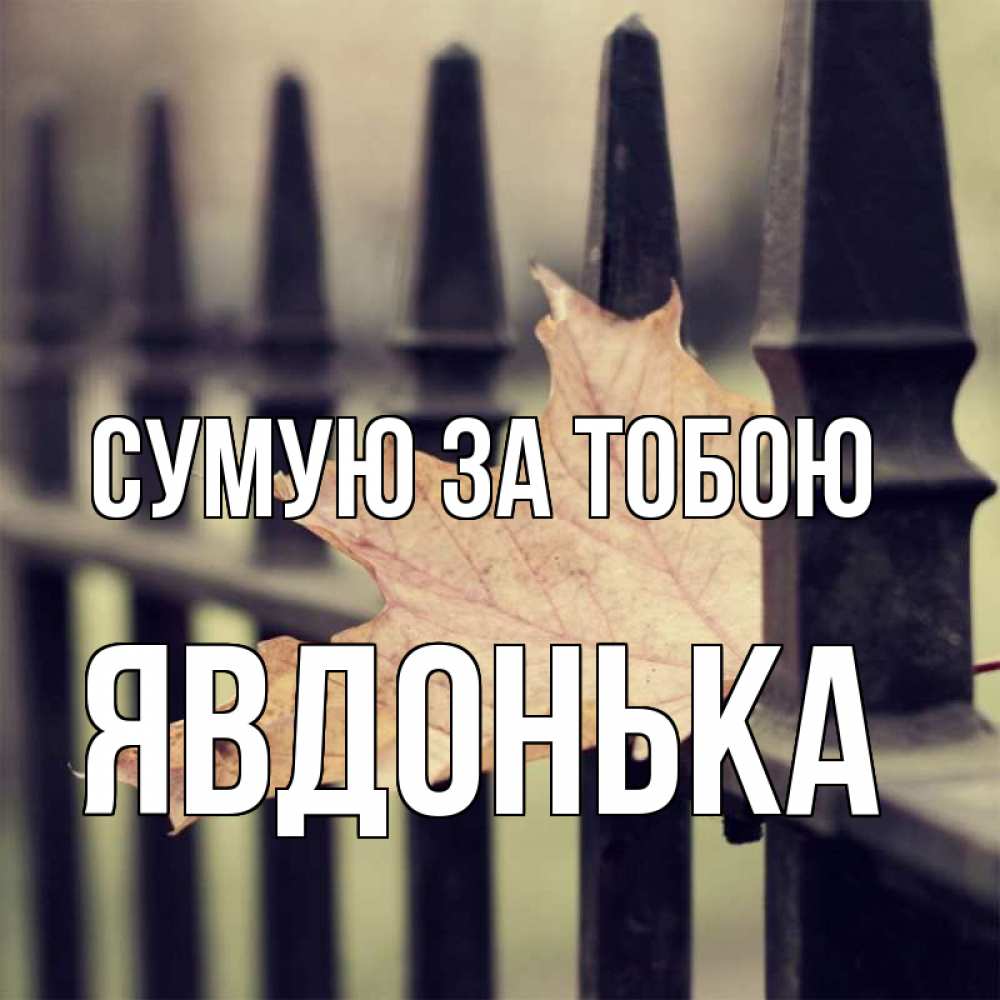 Открытка на каждый день з підписом, Явдонька Сумую за тобою очень скучно Прикольна листівка з побажанням онлайн скачати безкоштовно 