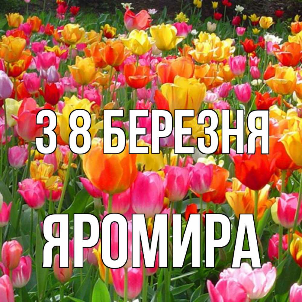Открытка на каждый день з підписом, Яромира З 8 БЕРЕЗНЯ на международный женский день Прикольна листівка з побажанням онлайн скачати безкоштовно 