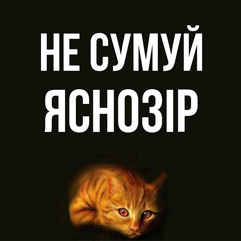Открытка на каждый день з підписом, Яснозір Не сумуй лежащий кот в темноте Прикольна листівка з побажанням онлайн скачати безкоштовно 