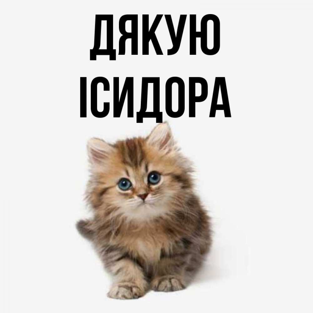 Открытка на каждый день з підписом, Ісидора Дякую пушистый котик Прикольна листівка з побажанням онлайн скачати безкоштовно 