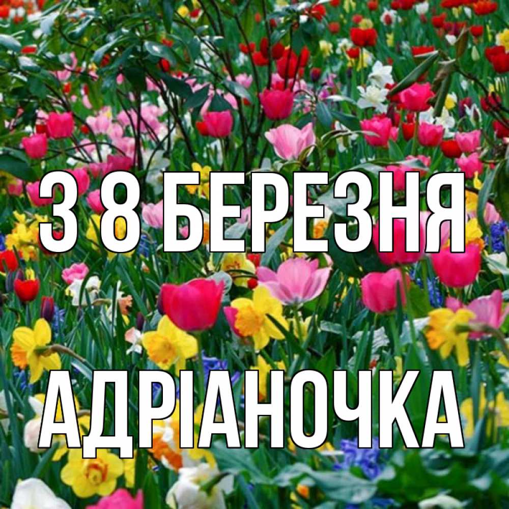 Открытка на каждый день з підписом, Адріаночка З 8 БЕРЕЗНЯ с международным женским днем поздравления для женщины Прикольна листівка з побажанням онлайн скачати безкоштовно 