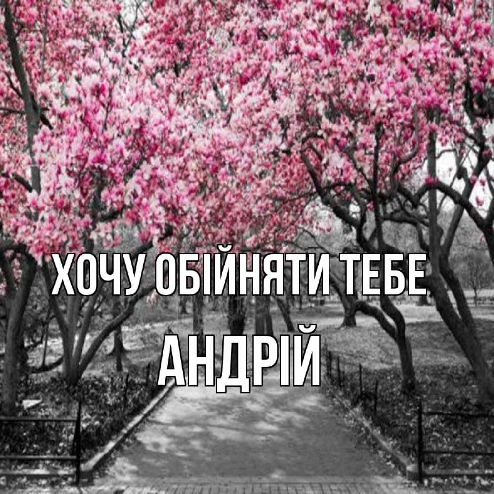 Открытка на каждый день з підписом, Андрій Хочу обійняти тебе обработанное фото Прикольна листівка з побажанням онлайн скачати безкоштовно 