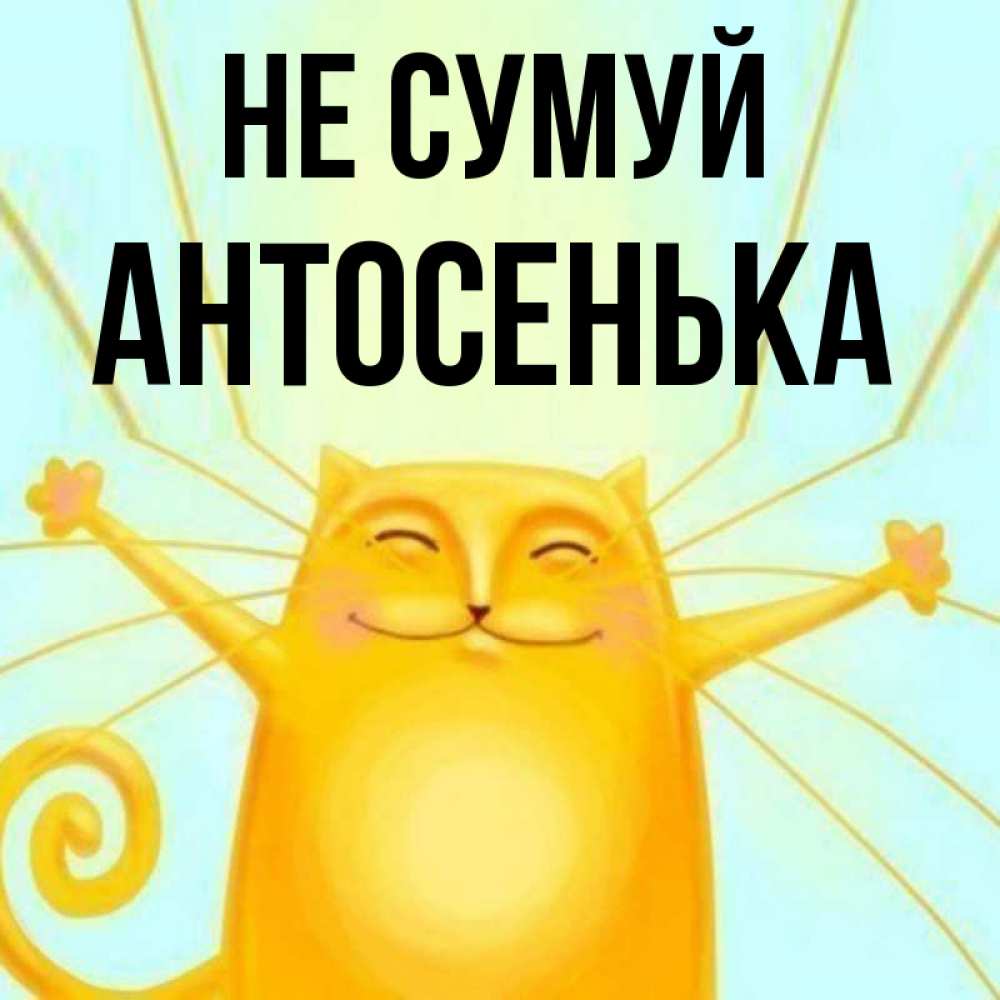 Открытка на каждый день з підписом, Антосенька Не сумуй обнимашки усатые Прикольна листівка з побажанням онлайн скачати безкоштовно 