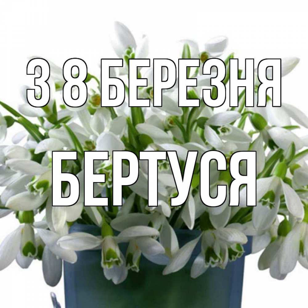 Открытка на каждый день з підписом, Бертуся З 8 БЕРЕЗНЯ цветы к международному женскому дню Прикольна листівка з побажанням онлайн скачати безкоштовно 