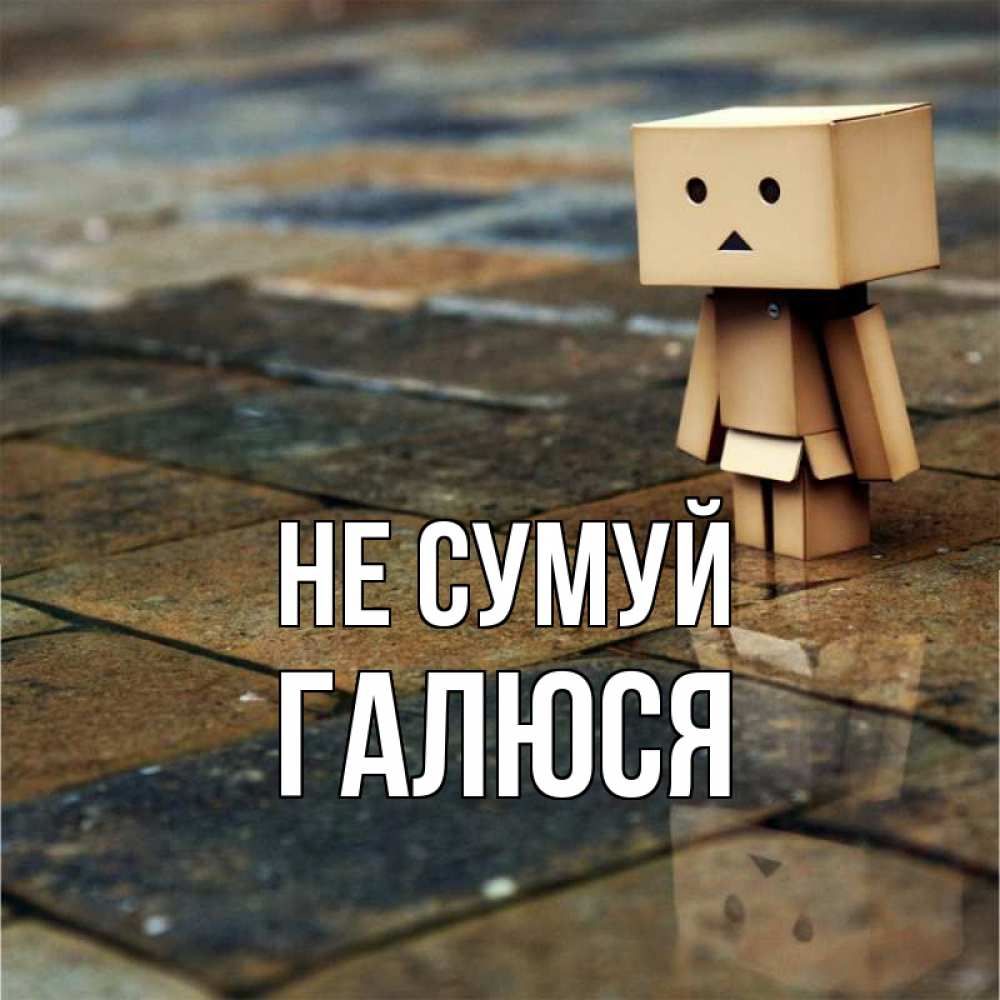 Открытка на каждый день з підписом, Галюся Не сумуй Стив Прикольна листівка з побажанням онлайн скачати безкоштовно 