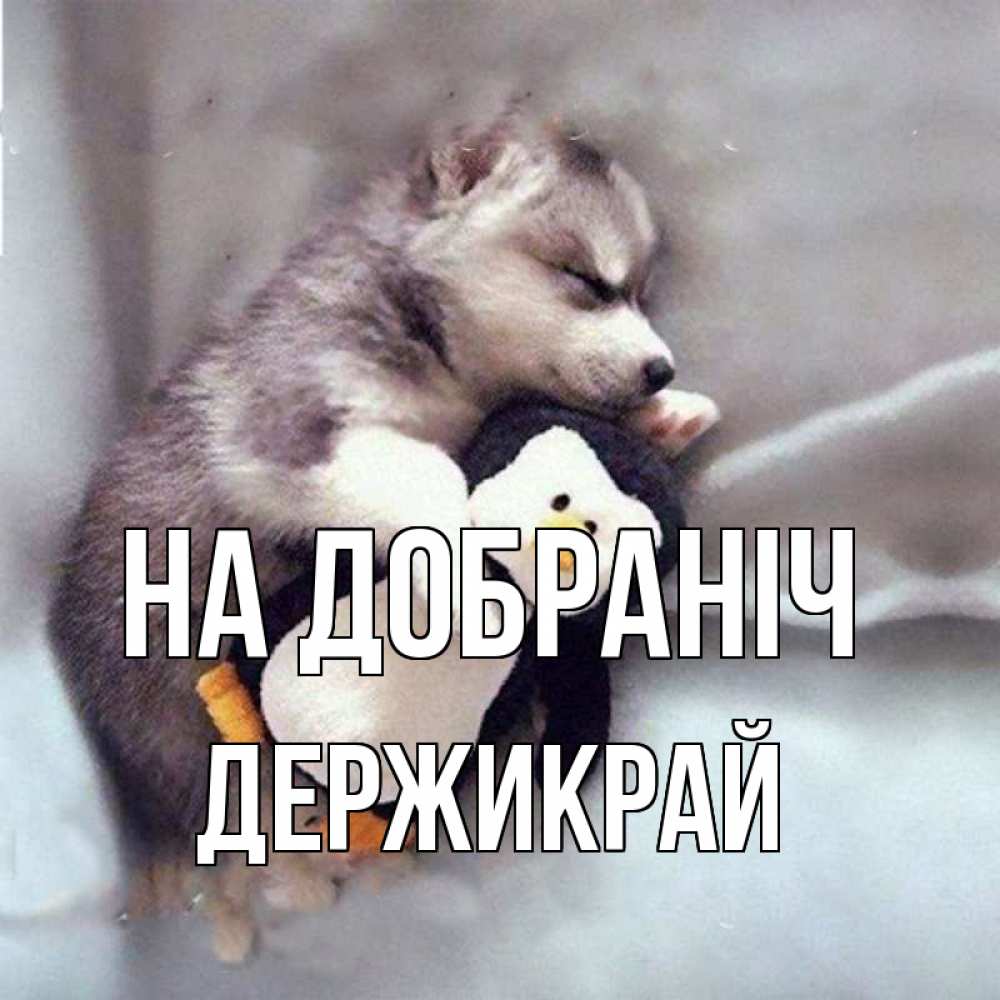 Открытка на каждый день з підписом, Держикрай На добраніч обнимашки щенка и пингвина Прикольна листівка з побажанням онлайн скачати безкоштовно 