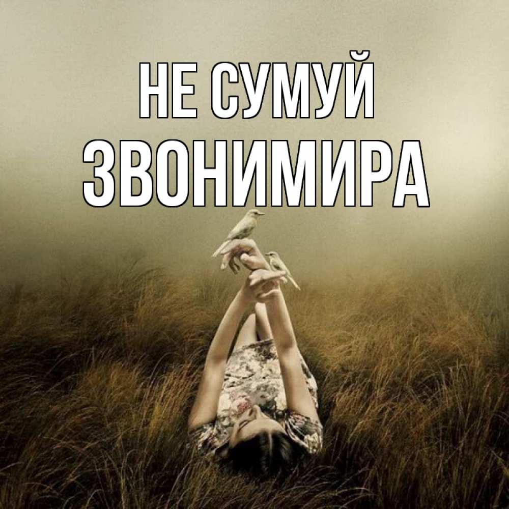 Открытка на каждый день з підписом, Звонимира Не сумуй поле и туман Прикольна листівка з побажанням онлайн скачати безкоштовно 