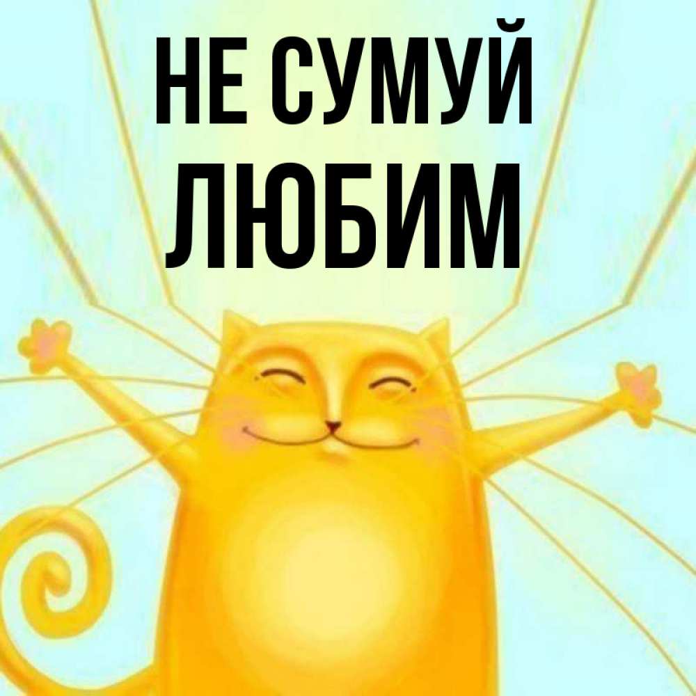 Открытка на каждый день з підписом, Любим Не сумуй обнимашки усатые Прикольна листівка з побажанням онлайн скачати безкоштовно 