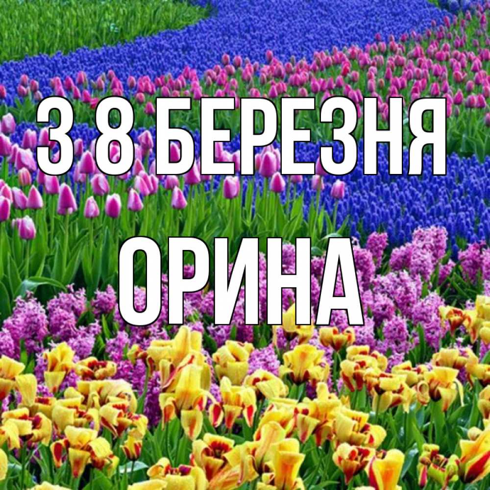 Открытка на каждый день з підписом, Орина З 8 БЕРЕЗНЯ цветы Прикольна листівка з побажанням онлайн скачати безкоштовно 