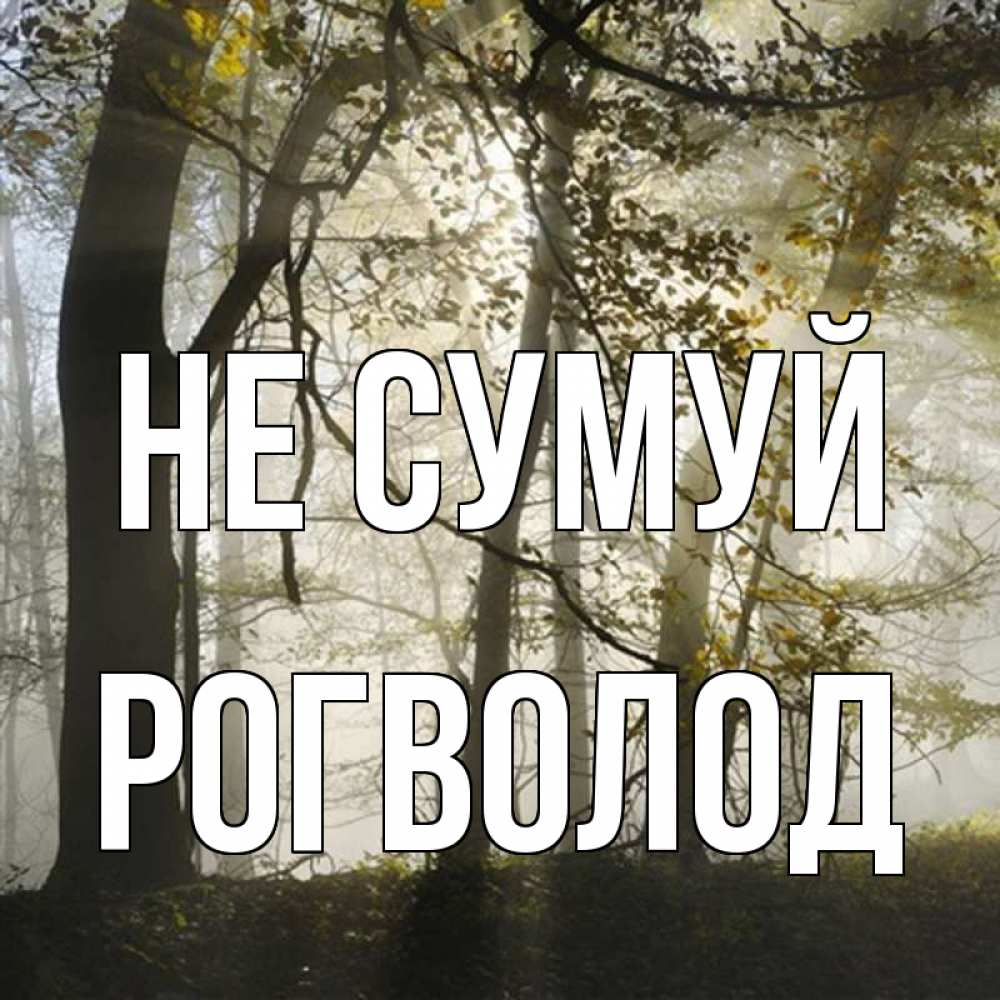 Открытка на каждый день з підписом, Рогволод Не сумуй лес и свет Прикольна листівка з побажанням онлайн скачати безкоштовно 