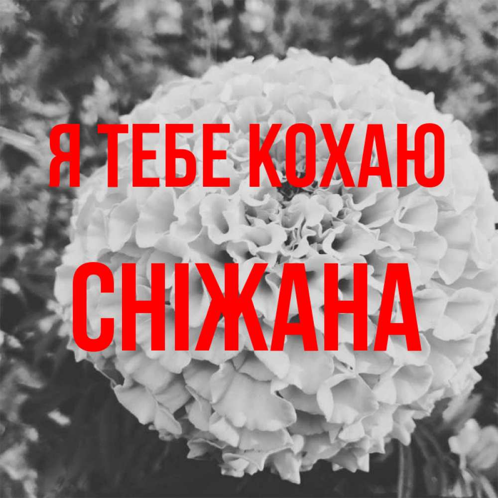 Открытка на каждый день з підписом, Сніжана Я тебе кохаю подпись Прикольна листівка з побажанням онлайн скачати безкоштовно 