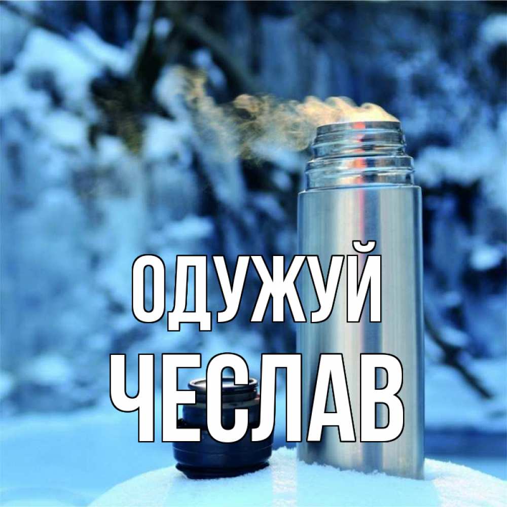 Открытка на каждый день з підписом, Чеслав Одужуй лечитесь не болейте Прикольна листівка з побажанням онлайн скачати безкоштовно 