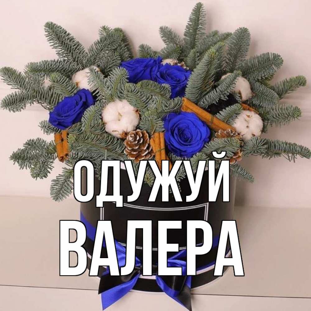 Открытка на каждый день з підписом, Валера Одужуй короче кто то загрузил эти шишки Прикольна листівка з побажанням онлайн скачати безкоштовно 