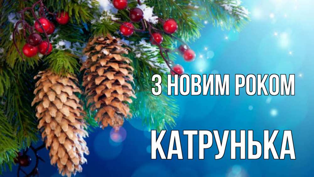 Открытка на каждый день з підписом, Катрунька З новим роком Новый год, ель, шишки Прикольна листівка з побажанням онлайн скачати безкоштовно 