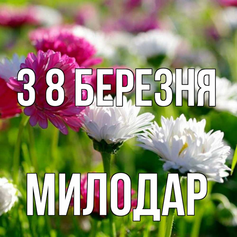 Открытка на каждый день з підписом, Милодар З 8 БЕРЕЗНЯ международный женский день 1 Прикольна листівка з побажанням онлайн скачати безкоштовно 
