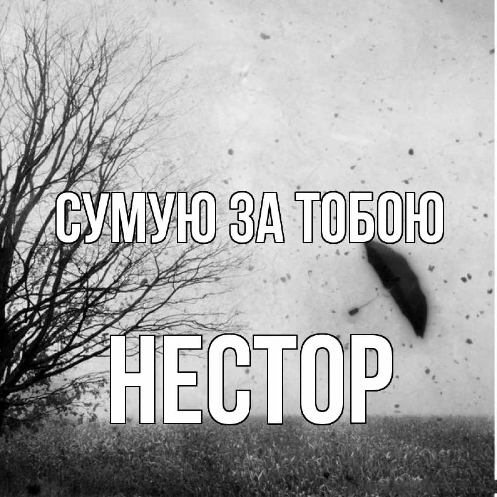 Открытка на каждый день з підписом, Нестор Сумую за тобою зонт летит Прикольна листівка з побажанням онлайн скачати безкоштовно 