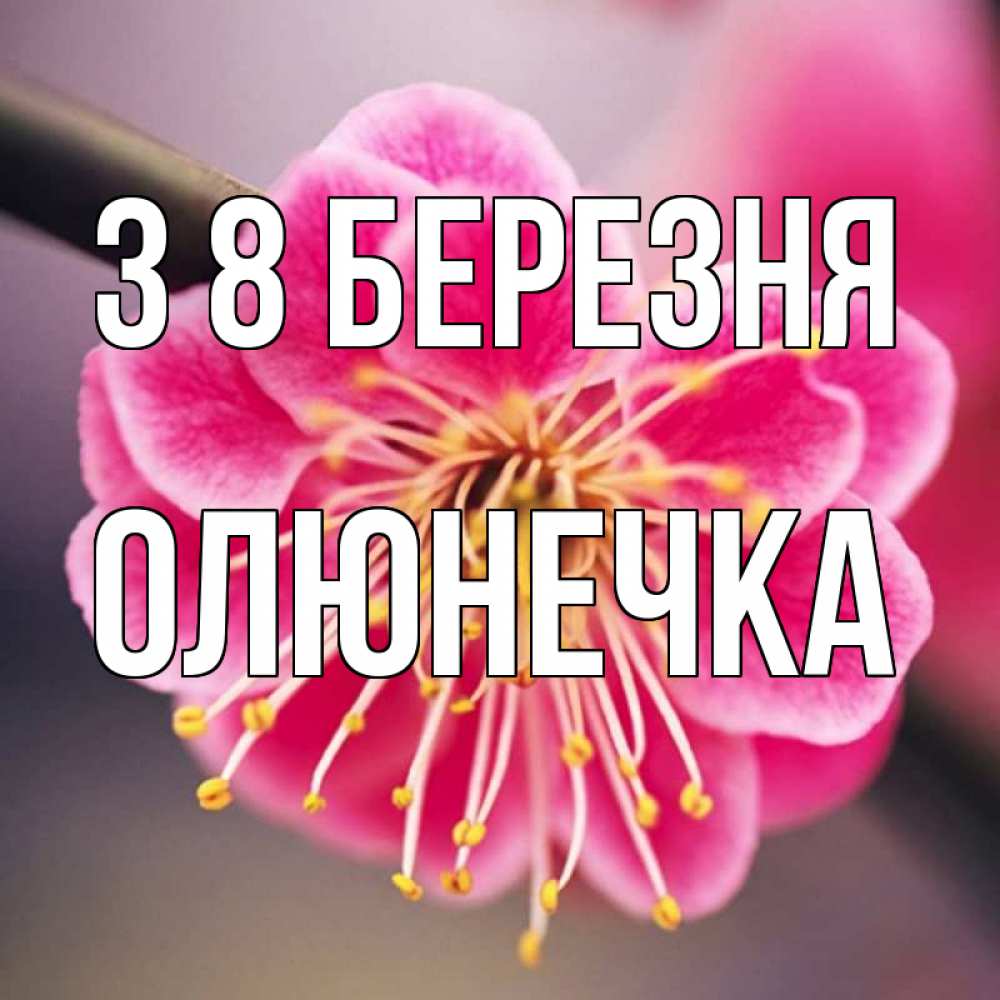 Открытка на каждый день з підписом, Олюнечка З 8 БЕРЕЗНЯ цветы Прикольна листівка з побажанням онлайн скачати безкоштовно 