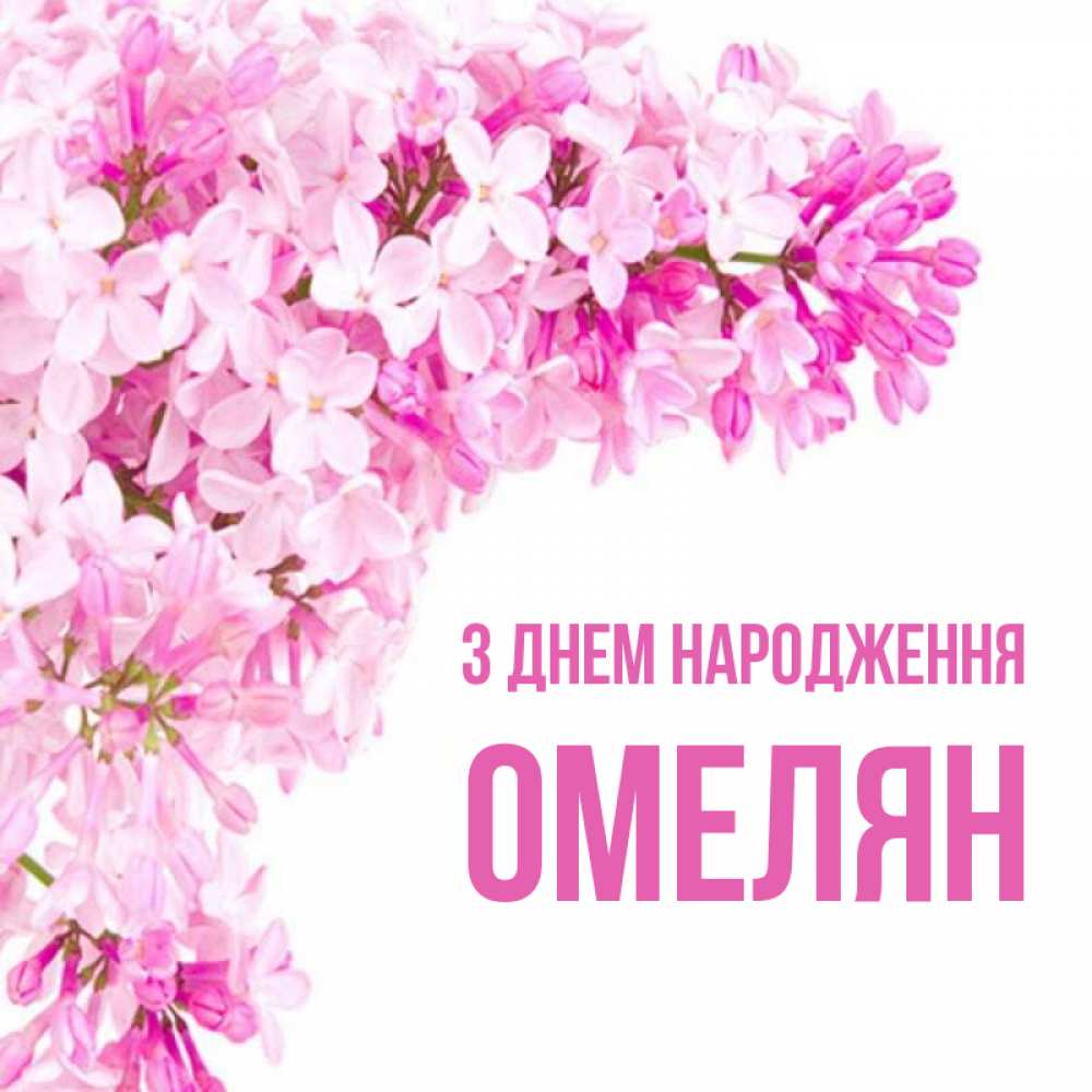 Открытка на каждый день з підписом, Омелян З Днем народження Сирень на белом фоне Прикольна листівка з побажанням онлайн скачати безкоштовно 