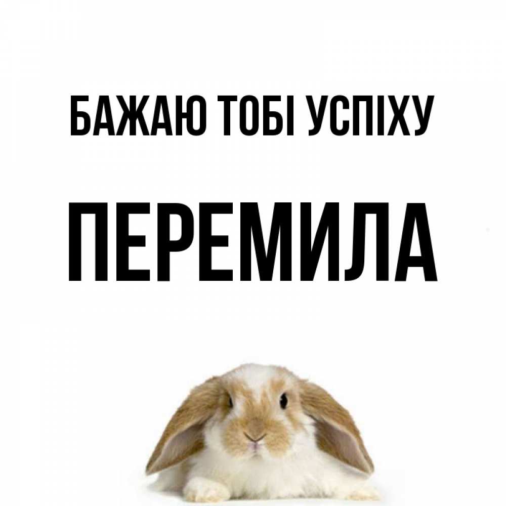 Открытка на каждый день з підписом, Перемила Бажаю тобі успіху открытки с произвольным текстом который можно вставить в открытку и создать ее самостоятельно бесплатно онлайн Прикольна листівка з побажанням онлайн скачати безкоштовно 