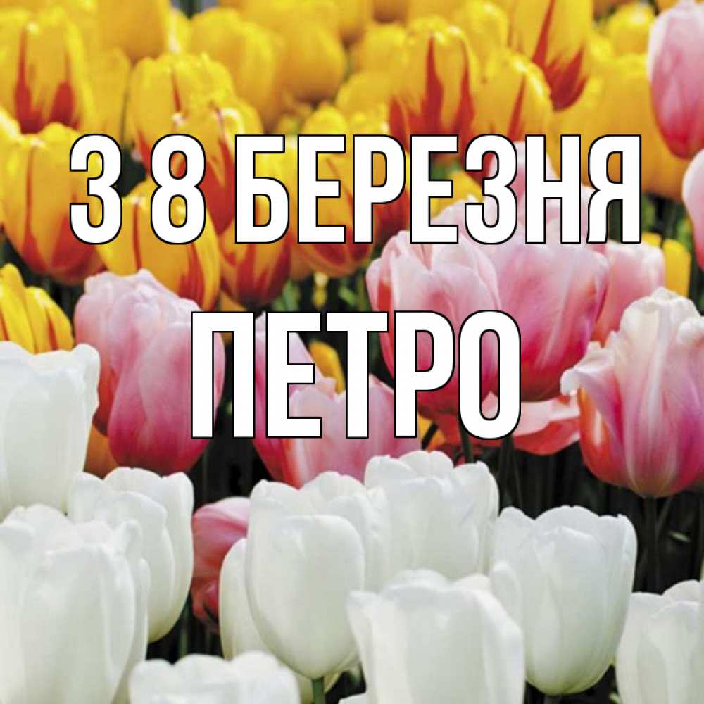Открытка на каждый день з підписом, Петро З 8 БЕРЕЗНЯ разноцветные цветы Прикольна листівка з побажанням онлайн скачати безкоштовно 
