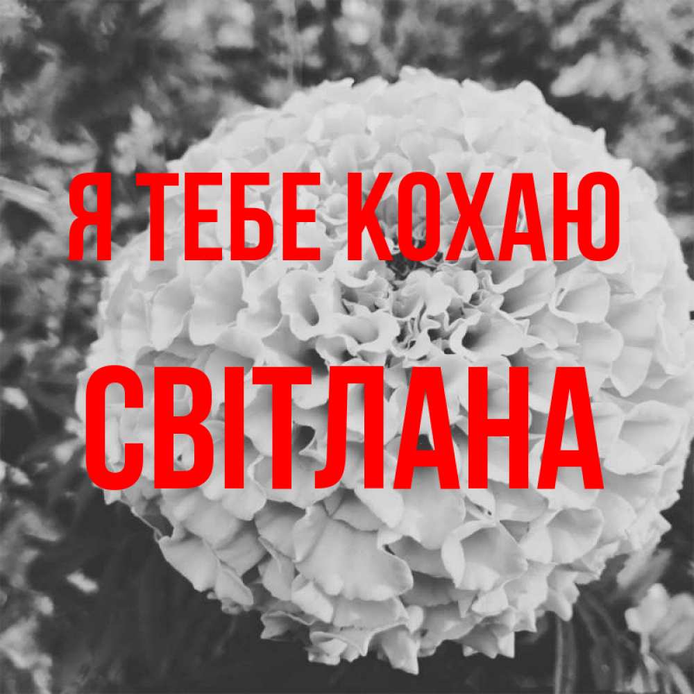 Открытка на каждый день з підписом, Світлана Я тебе кохаю подпись Прикольна листівка з побажанням онлайн скачати безкоштовно 