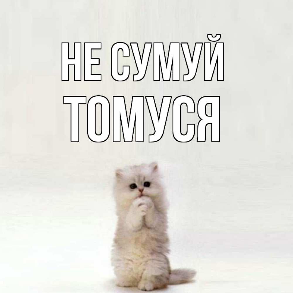 Открытка на каждый день з підписом, Томуся Не сумуй грустный кот Прикольна листівка з побажанням онлайн скачати безкоштовно 