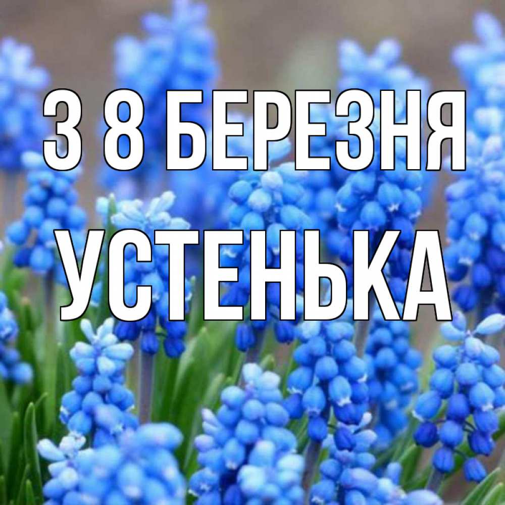 Открытка на каждый день з підписом, Устенька З 8 БЕРЕЗНЯ Поздравительная открытка для женщин с цветами на праздничную дату Прикольна листівка з побажанням онлайн скачати безкоштовно 