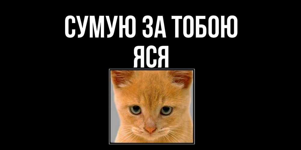 Открытка на каждый день з підписом, Яся Сумую за тобою открытки рыжий котенок скучает по тебе Прикольна листівка з побажанням онлайн скачати безкоштовно 