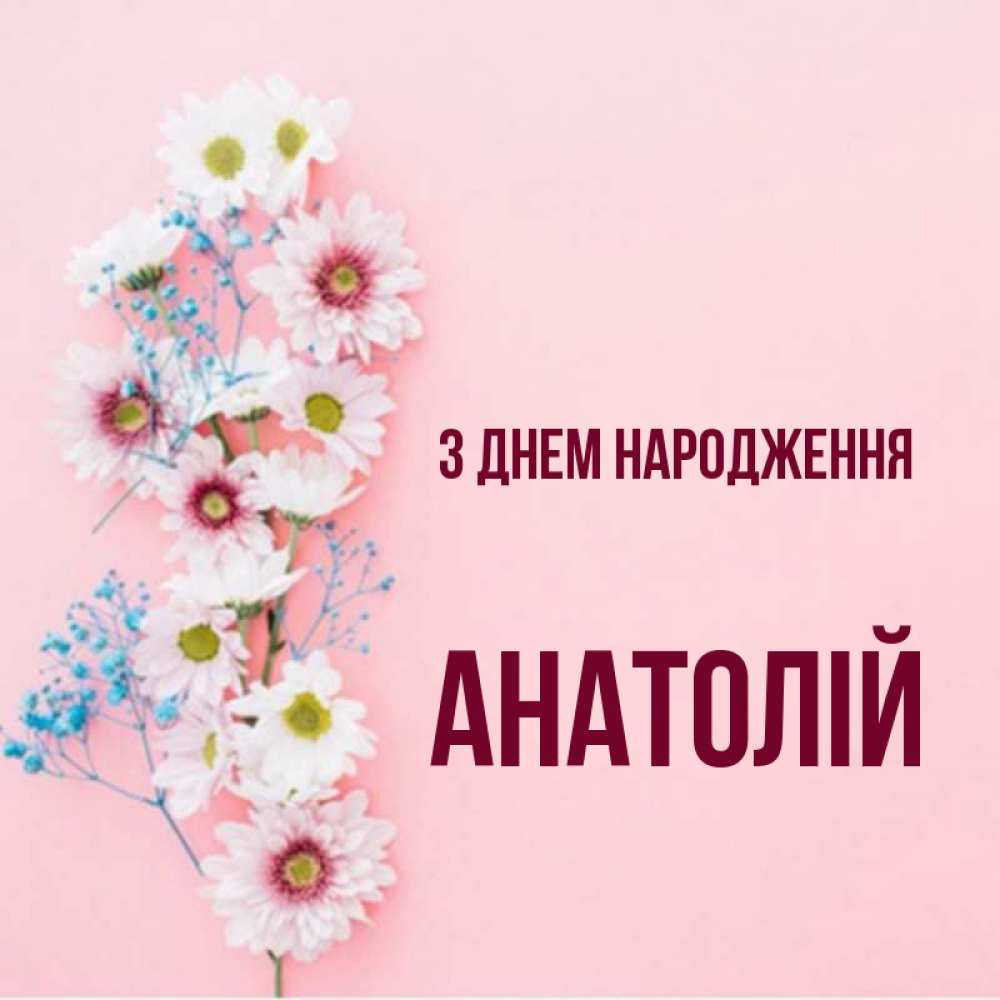 Открытка на каждый день з підписом, Анатолій З Днем народження Родная моя с днем рождения тебя картинка с цветами белыми и голубыми Прикольна листівка з побажанням онлайн скачати безкоштовно 