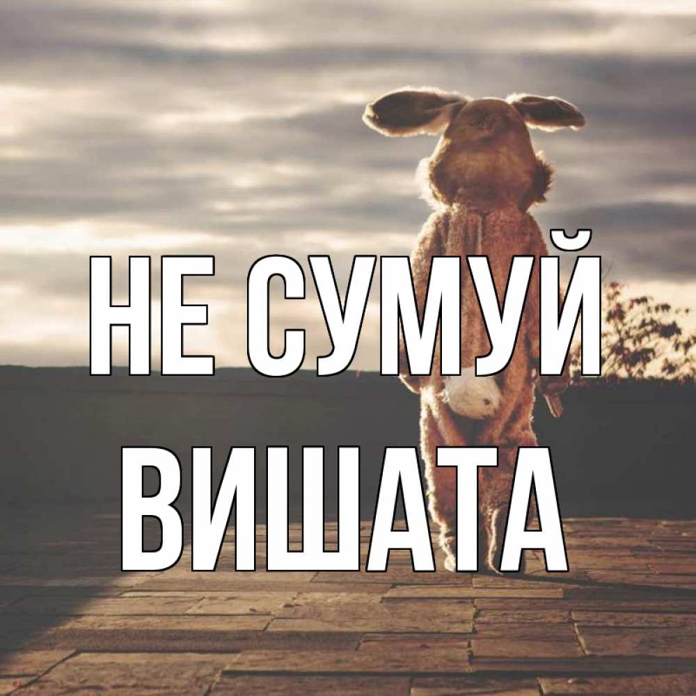 Открытка на каждый день з підписом, Вишата Не сумуй со спины Прикольна листівка з побажанням онлайн скачати безкоштовно 